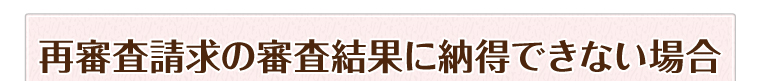 再審査請求の審査結果に納得できない場合